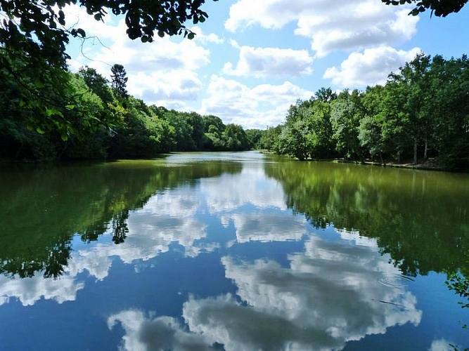 Les nuages se reflétant sur l’eau calme de l’étang de Morchêne