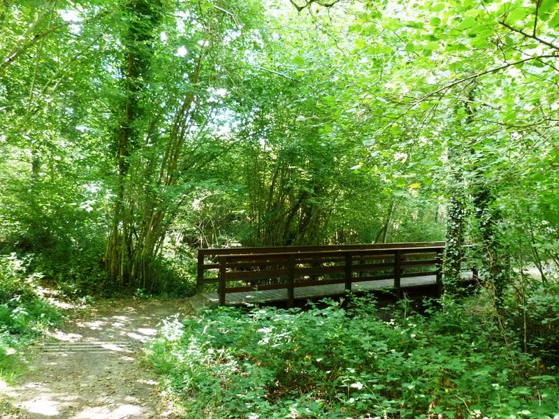 Un petit pont de bois au milieu de la végétation du parc de Morchêne